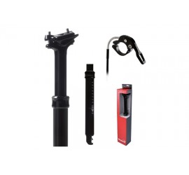 TRANZX REGGISELLA...