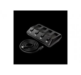 SRAM CARICA BATTERIE AM AXS...